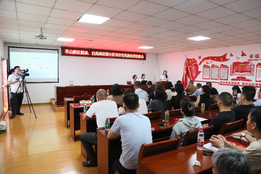 羊山新區戴廟 白高廟安置小區非住宅用房處置拍賣會